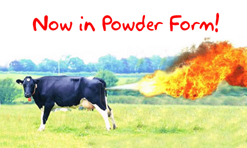 flaming_cow.jpg